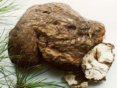 �������ǲ���(�й���)�ٷ���վ